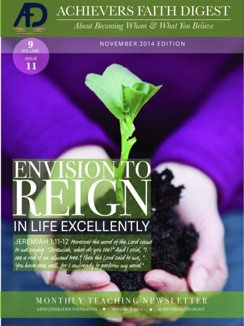 Cover of Envision To Reign In Life Excellently